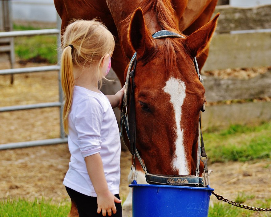 A young rider bonding with her horse at the barn